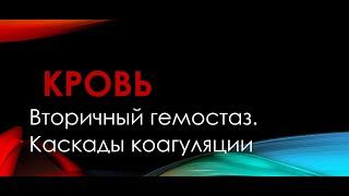 Физиология. Глава 4. Кровь. Вторичный гемостаз. Каскады коагуляции