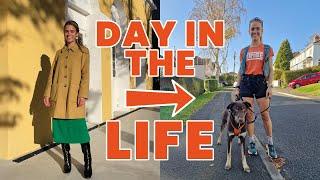 DAY IN THE LIFE | Meals, training & home improvements | MANYPETS AD