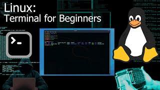 Kali Linux Terminal / Command Line for Beginners (Tutorial)