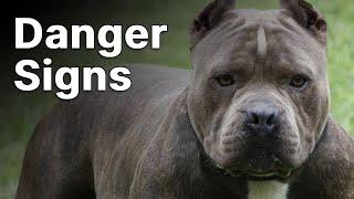 Danger signs from dogs you encounter | Adam Rushing and Nikos Katsikanis