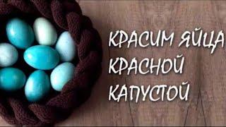 Красим яйца красной капустой