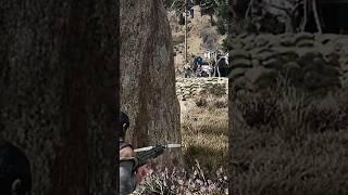 Get a Breaker to attack a Screamer  #daysgone #daysgone2