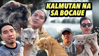 KALMUTAN NA NAMAN SA BOCAUE PET MARKET | BOCAUE PUSA SERYE | DECEMBER 20, 2024