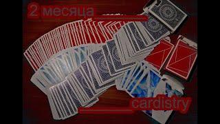 2 Месяца Кардистри_Cardistry-video_Смагин Виктор