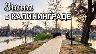 Зима в Калининграде, озеро Хлебное или Поплавок