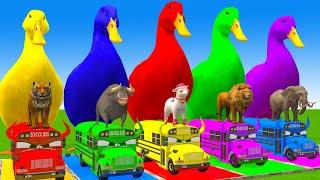 5 Giant Duck Cartoon,Cow,Elephant,Tiger,Lion,Dinosaur,Paint Wild Animals Crossing Fountain Animation