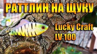 РАТТЛИН на ЩУКУ. Lucky Craft LV 100. Рыбалка на спиннинг