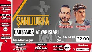 25 Aralık 2024 // Şanlıurfa At Yarışı Tahminleri // Gökhan Ormancı - Muhammed Salih Yardımcı