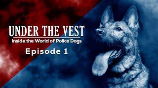 Episode 1 - Under The Vest: Inside the World of Police Dogs