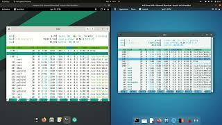 Manjaro (Gnome) vs Kali Linux (Gnome): RAM