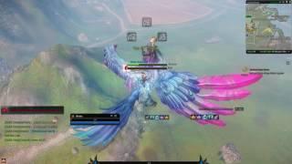 Taming Windrunner - Riders of Icarus