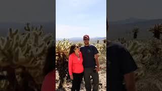 Did I regret quitting my job to travel w/ a stranger??? #shorts #travelshorts #makememories