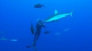 Free Diving Down to the Depths