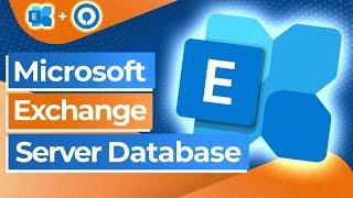 How to backup Microsoft Exchange Server Databases?