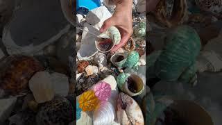 Sea Agate and Sea Crystal: Finding Hidden Treasures on the Shore and rare pearl