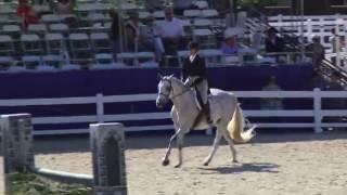 Video of CASCADE ridden by AMANDA STEEGE from ShowNet!