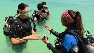 Scuba diving in Andaman havelock dar ke aage jeet hai  