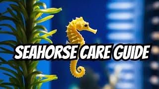 Seahorse Care: Everything You NEED To Know