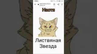 кто ты из котов воителей по именам.