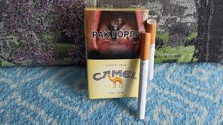 Camel Filters Беларусь 