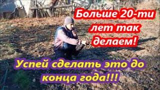 Земля сгорит от него.Голубиный и Куриный помет как удобрение.Птичий помет как Мы им удобряем огород.