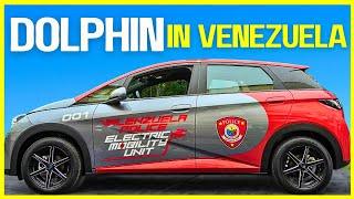 BYD Dolphin Fleet to Patrol Valenzuela City: A Step Toward Greener Police Operations