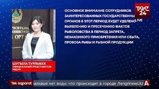 С 5 апреля по 5 июня в стране проводят рыбоохранную акцию «НЕРЕСТ».