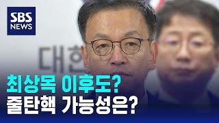 최상목 이후도?…줄탄핵 가능성은? / SBS