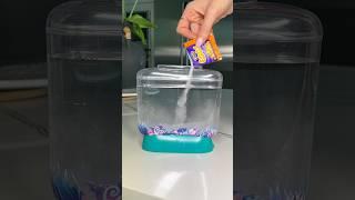 Growing Aqua Dragons and Sea Monkeys! 1 week update!!