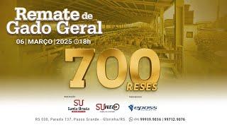 Remate de Gado Geral  - 700 Reses - 06 de Março de 2025