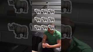 Rhinos, don’t be a giraffe #improv #speech #funny