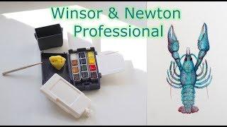 Походный набор акварели Winsor & Newton Professional || Рисую голубого рака