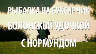 КАК ЛОВИТЬ РЫБУ НА БУКСИРЧИК. НОРМУНД ГРАБОВСКИС - БОЛОНСКАЯ УДОЧКА НА ТЕЧЕНИИ