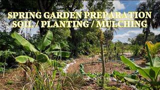 Spring Garden Preparation | Soil / Planting / Mulching