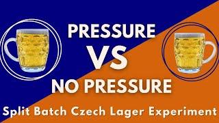 Is a PRESSURE FERMENTED LAGER Really AS GOOD as a Regular Lager? Guest Tasters and Triangle Tests!