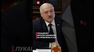 Лукашенко: корова должна стоять в этом дворце! #лукашенко #новости #политика #беларусь