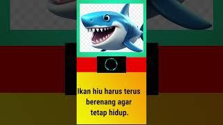 SOAL TEBAK-TEBAKAN DUNIA BINATANG//Ikan Hiu