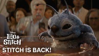 Lilo & Stitch | Stitch is Back! | In Theaters May 23