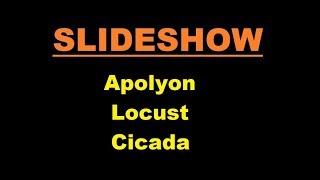 SLIDESHOW - Appolyon-Locust-Cicada