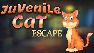 G4K Juvenile Cat Escape Game Walkthrough