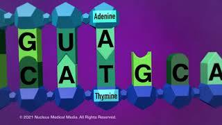 DNA and RNA - Transcription