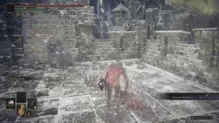 Elden Ring Commander Niall Parry Kill