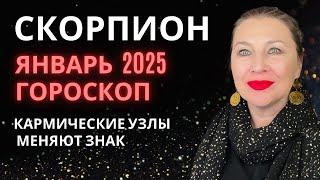 СКОРПИОН ️ ЯНВАРЬ 2025 ГОРОСКОП НОВЫЙ РИТМ ЖИЗНИ⭐️ AIDA LEMAR ASTROLOGY