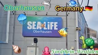 Sealife Oberhausen Germany  by Sarah & Raphiphat TH & DE Channel