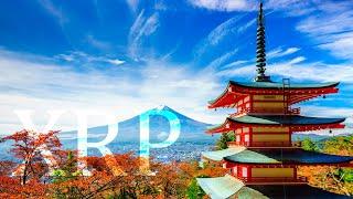 Ripple XRP JAPAN MOVES TOWARDS CASHLESS SOCIETY!