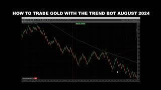 EASY GOLD TRADING STRATEGY WITH THE TREND BOT AND RENKO CHARTS AUGUST 2024