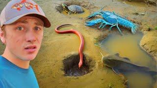 I Found Creatures Living in Mud Holes!
