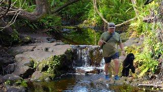 There's A Waterfall In Florida?