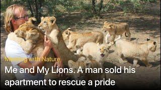 Documentary "Mе and my lions"