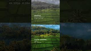 color grading tutorials is anyone is interested in my luts ???